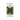 Capsules café italien compatibles Nespresso – 101CAFFE Rennes